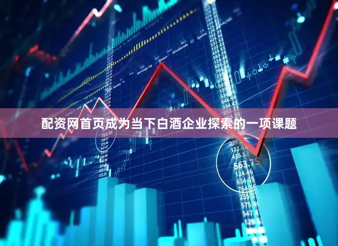 配资网首页成为当下白酒企业探索的一项课题